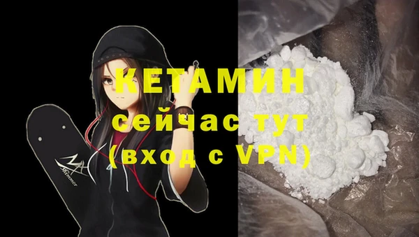 спиды Пересвет