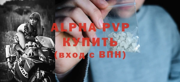 спиды Пересвет