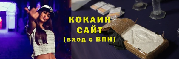 спиды Пересвет