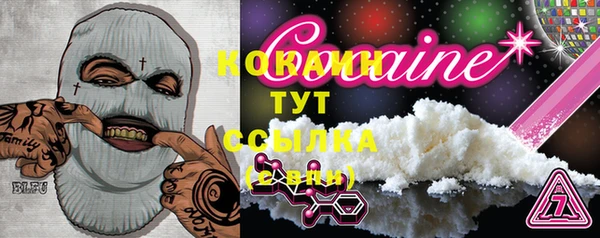 спиды Пересвет