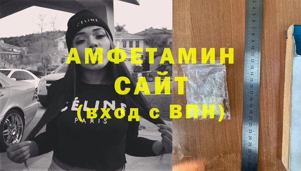 спиды Пересвет