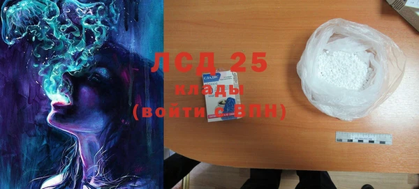 спиды Пересвет