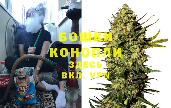 ГАЛЛЮЦИНОГЕННЫЕ ГРИБЫ Пестово