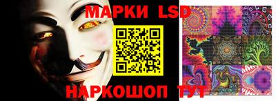крисы Кунгур