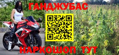 крисы Кунгур