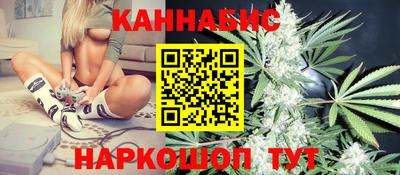 крисы Кунгур
