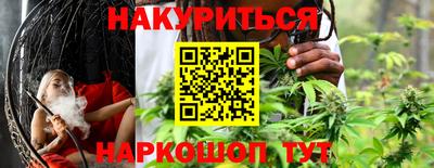 гидра Братск