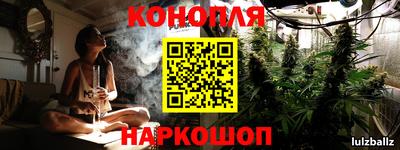 крисы Кунгур