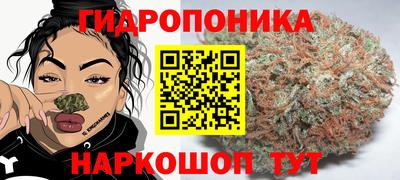 крисы Кунгур