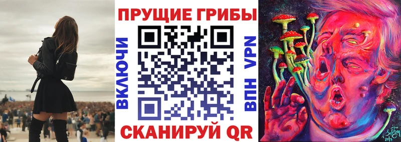 где найти наркотики  Дербент  Псилоцибиновые грибы Cubensis 