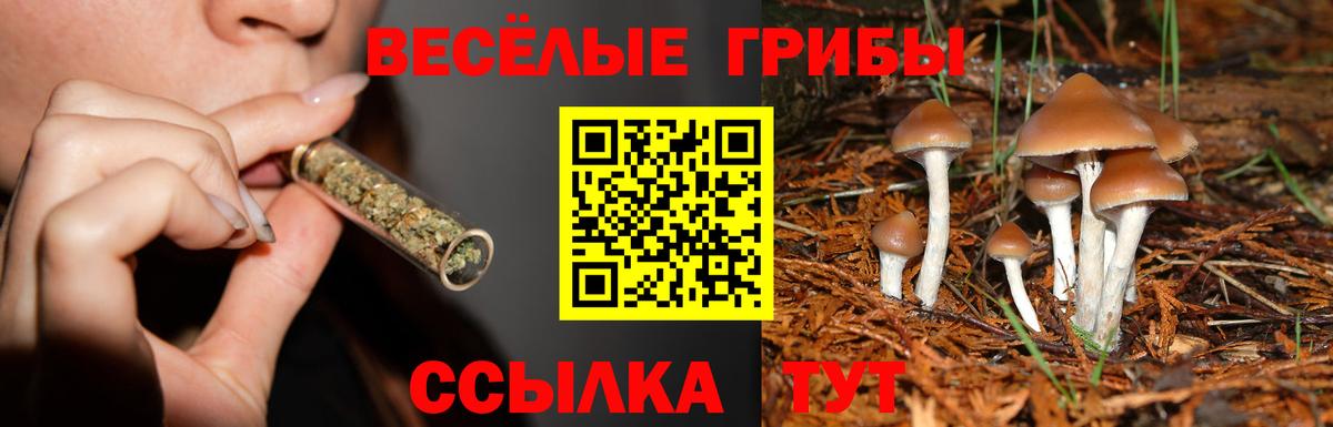 Галлюциногенные грибы MAGIC MUSHROOMS  Галлюциногенные грибы мухоморы  где можно купить наркотик  Дербент  Вход с VPN 